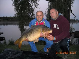 Concursuri - 2009